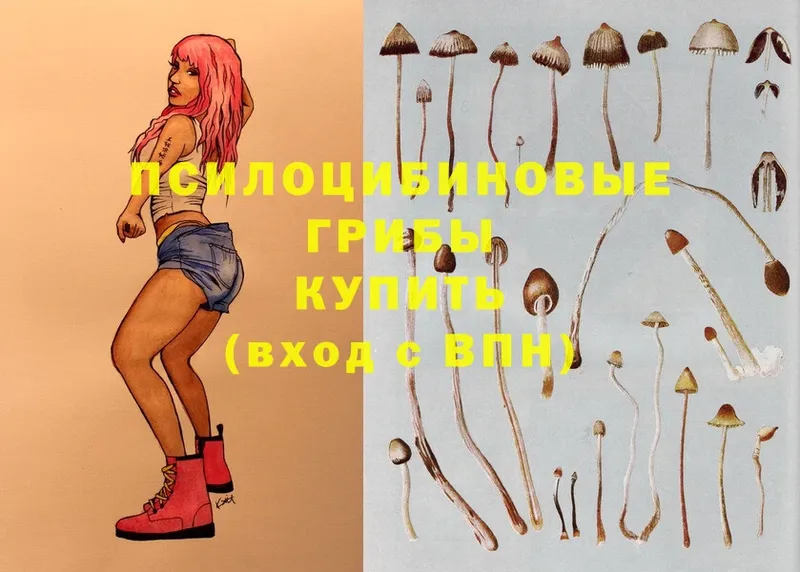 закладка  Покровск  hydra как зайти  Псилоцибиновые грибы MAGIC MUSHROOMS 